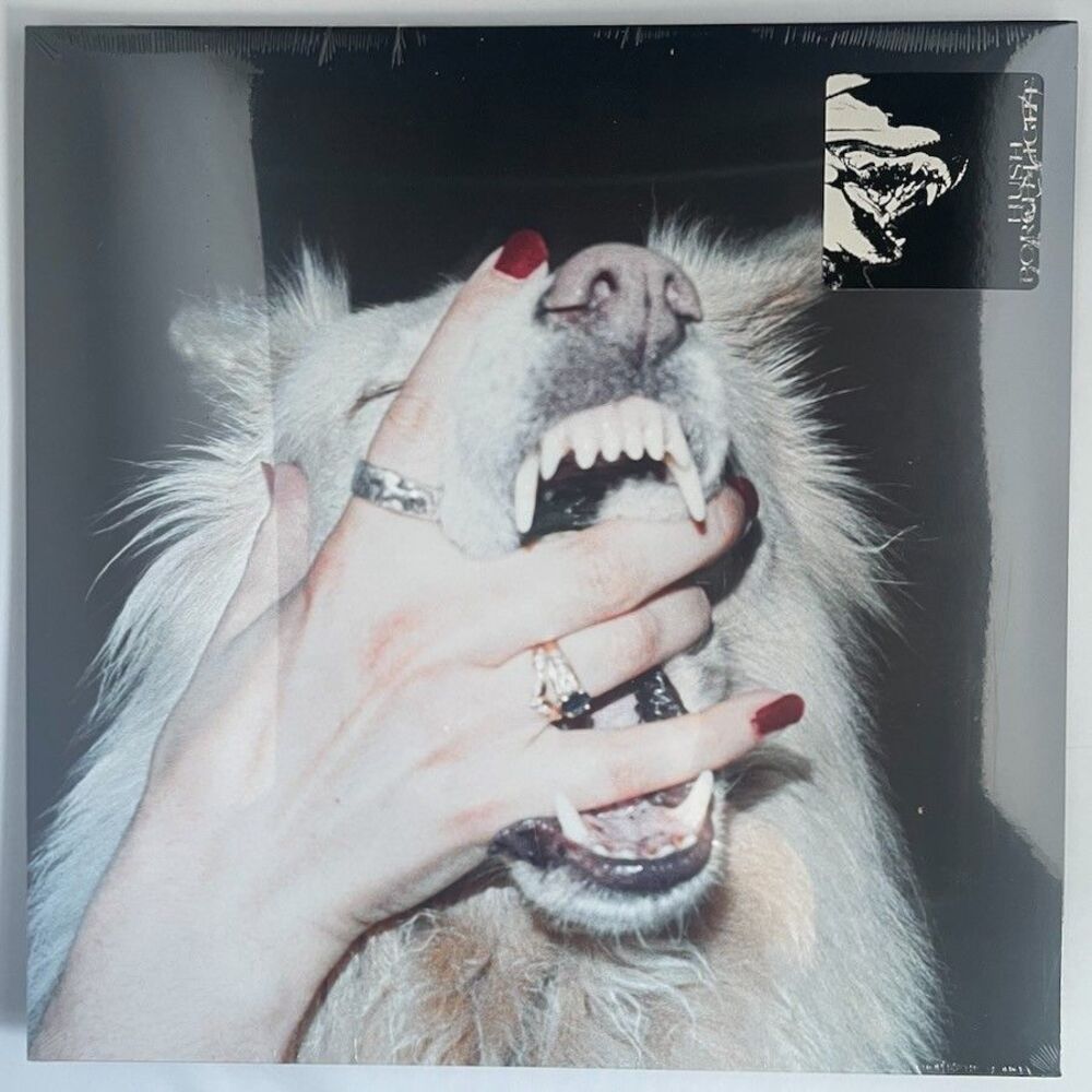Porch Light – Hush – Black Vinyl Record, Mom+Pop, 2026, New, Sealed, Indie Rock
